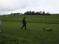 VICSCALE Yarra vally 2014 012